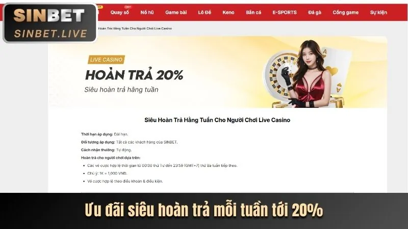 Phân tích ưu đãi mới nhất của bet168 vin